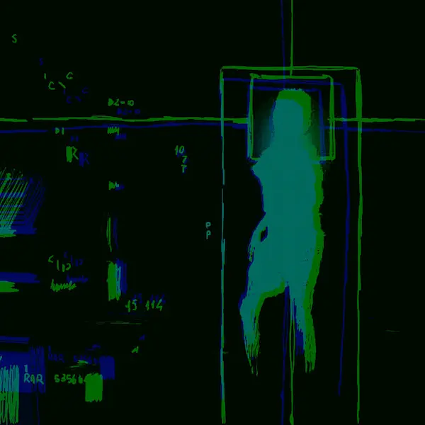 this is the cover image of a music album